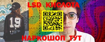 стаф Сланцы