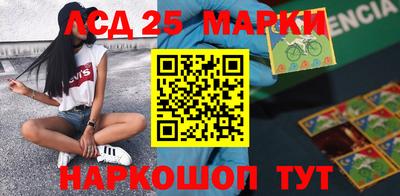 стаф Сланцы