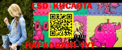 стаф Сланцы