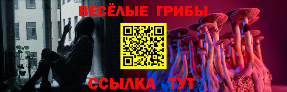 Псилоцибиновые грибы ЛСД  Вход с VPN  Нижнекамск  Галлюциногенные грибы GOLDEN TEACHER 